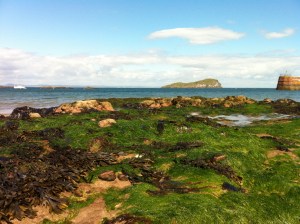 These colors amazed me; this is about 30 minutes, by train, from Edinburgh, in a town called North Berwick