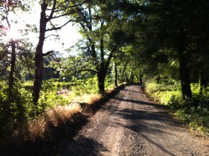 The road where I learned to become a runner; it is peaceful and meditative. 