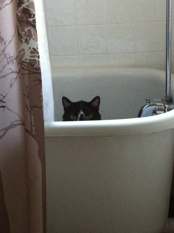 I know that Papa would not have allowed this sort of shenanigan!