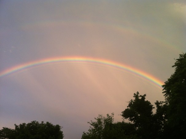 Any chance my love of rainbows was handed down to me?