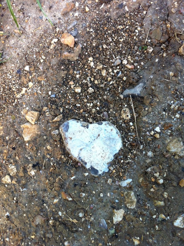 Lovable misshapen heart.