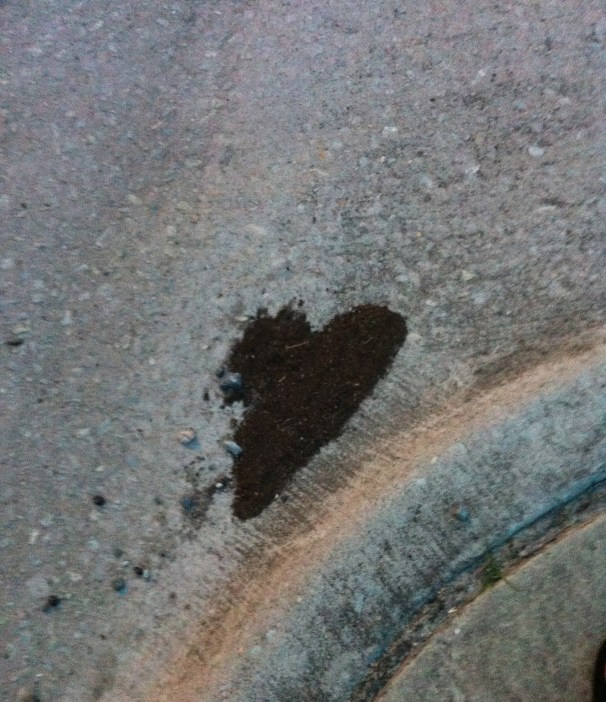 North Carolina road heart.