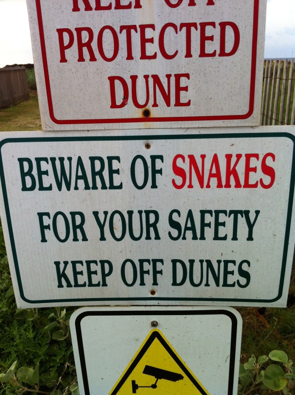 What? Holy SHIT. Ok.