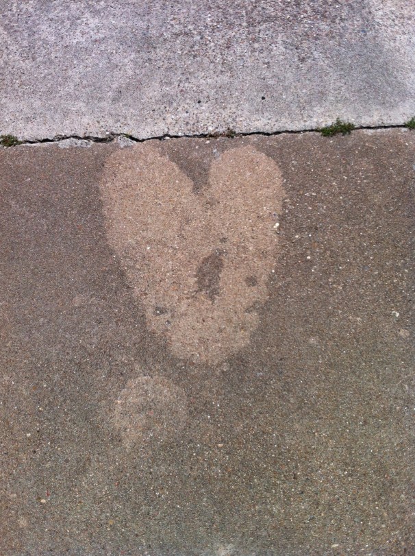 Flip-flop heart. 
