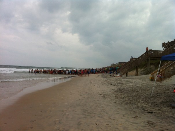 Quite an impressive turnout for one not-so-little turtle.