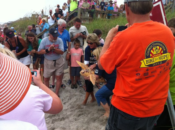 Such an ancient, wise face.