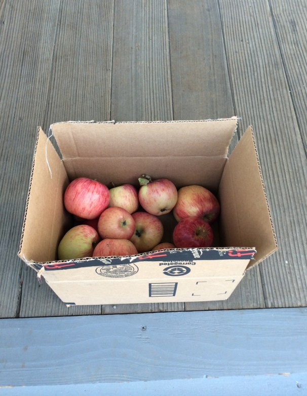 The happiest way to recycle a box from Amazon may well be a yummy ol' pile of autumn on my porch.