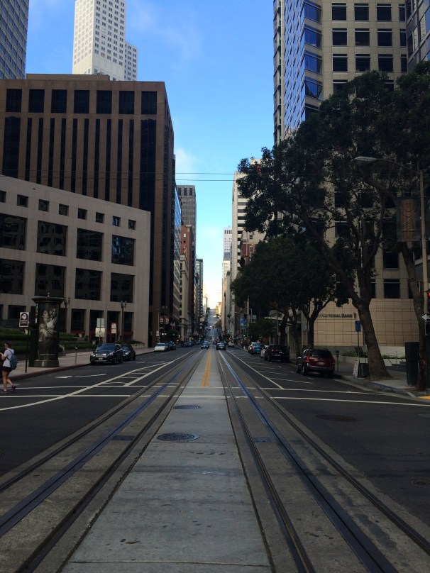 Sleek, glamorous, friendly, and sunny, all at once.