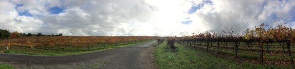 I pulled over on the way home from Thanksgiving in Southern California, and ducked beneath a closed fence, to take this picture.