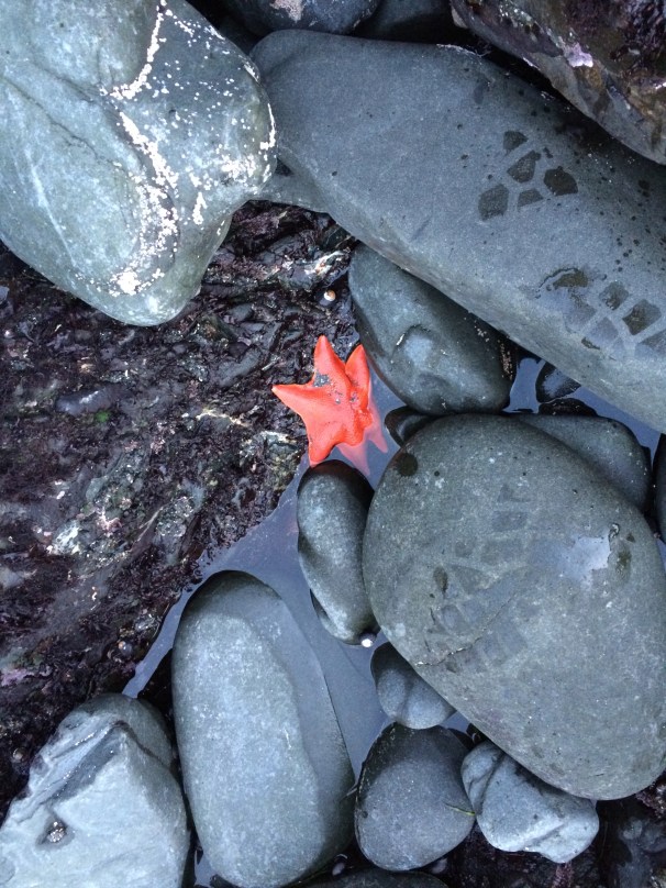 Watch where you walk! 