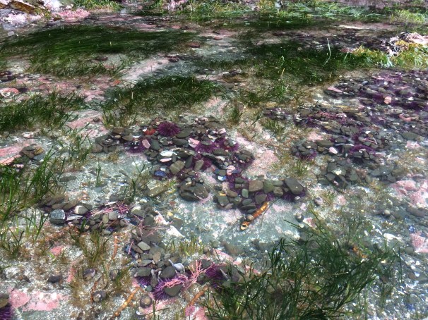 So very much of this world is a secret. 