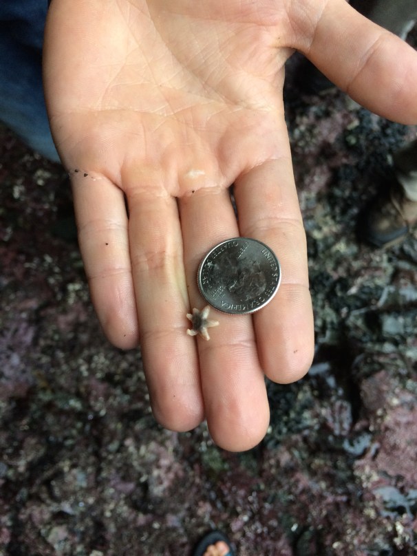 There are such tiny marvels! 