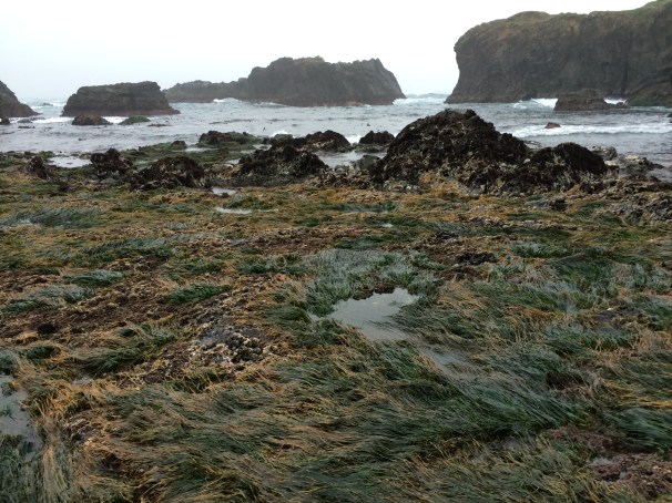 Underwater field? I'm sure there's a proper name, but I definitely don't know it. 