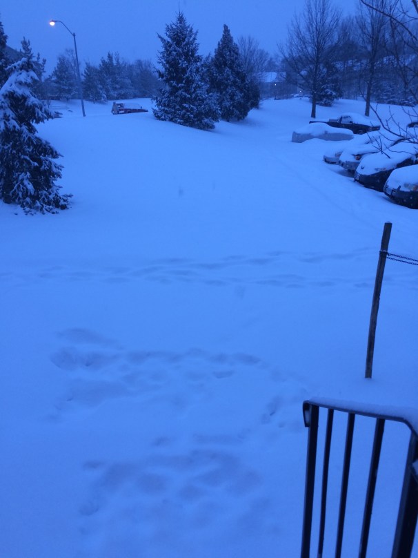 There is a sidewalk down there somewhere. I think.