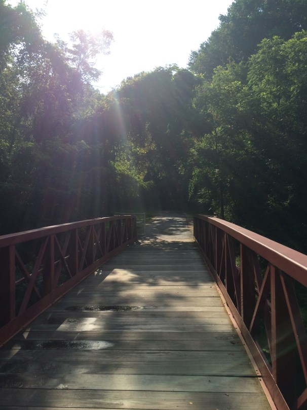 Can you catch them all, even the rainbows of the crepuscular rays? 