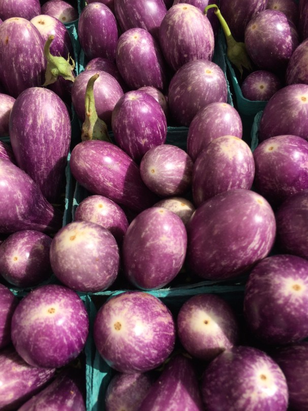 These are apparently called Fairy Tale Eggplant; naturally, I imagine teeny castles nestled deep within.
