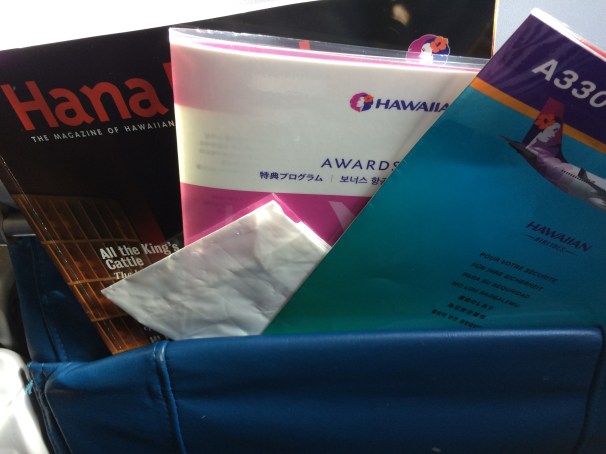 I love me a tidy seat back pocket; the napkin was my addition.