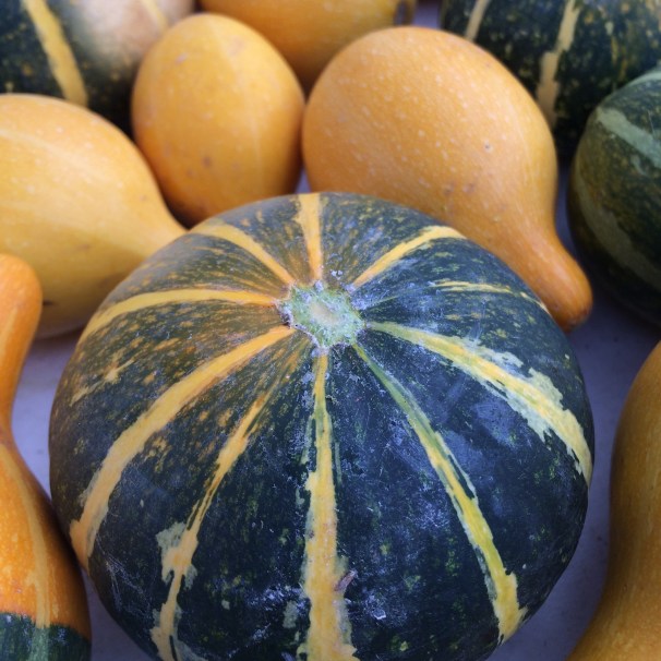 At least there's squash. (Year-round, it seems.) 