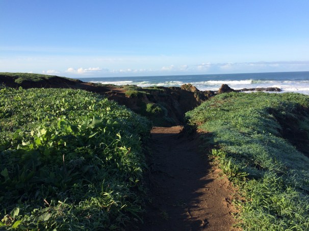 ...but wait. This doesn't look like fall. 