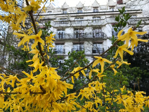 6++MBVfPQ8OqkV9Gj7Qs7A