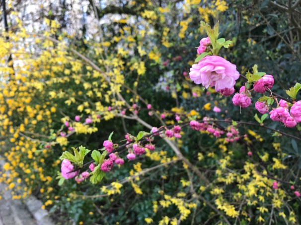 Gzzio29vTZa16%QVsITarA