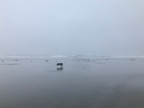 JtB6A3c5SGa59Z0BDsHnAA