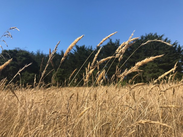 OFBGeZezTTSBeTEVNZpJiw