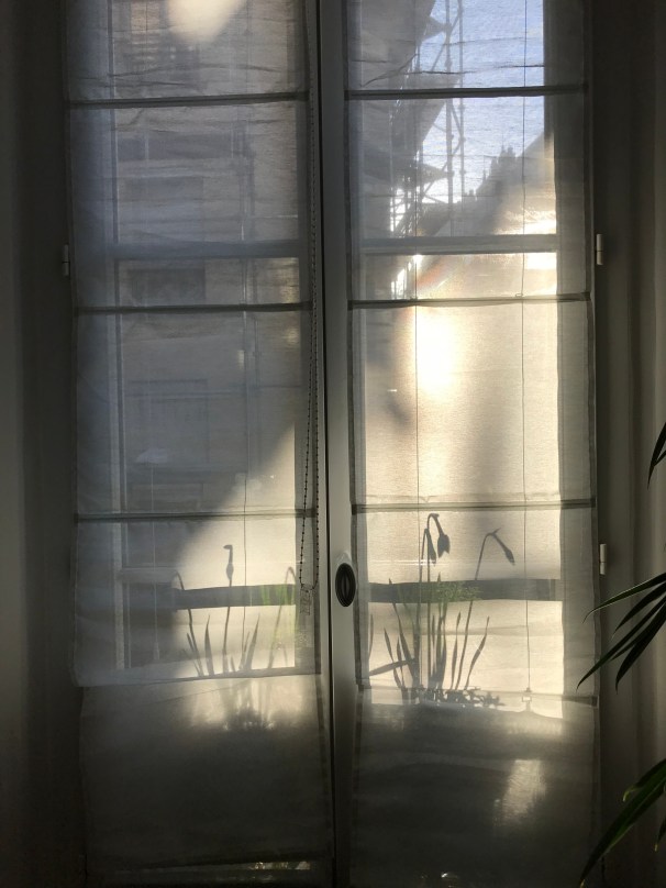 n25257yihoqveaalq9d3mxnw