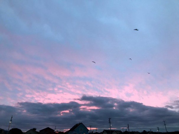 1u9AP7P0RZS2GtIqvm2CKw