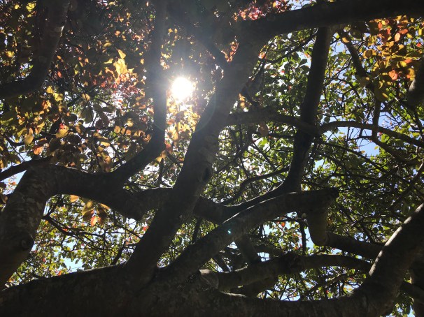 Aen5SVTrQJyY8T+EKED7jw