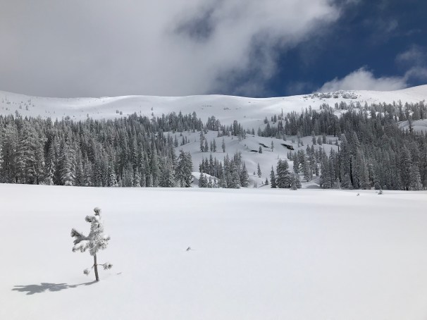 iUsSoFJrSTODDHzeIkWtIg