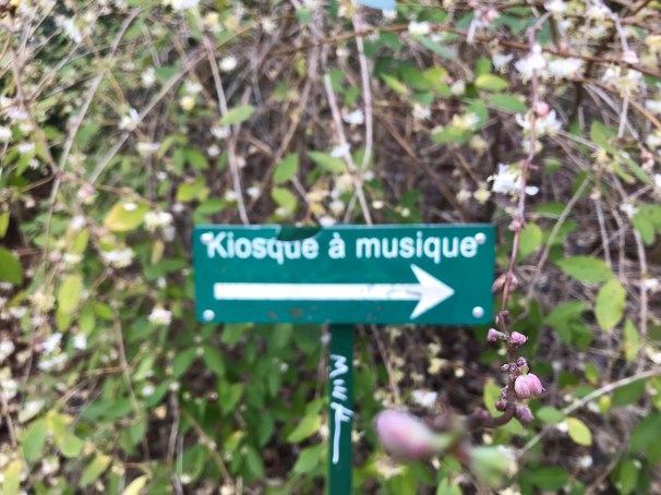 GVjkxrPAS+CuVRjYKALC%g