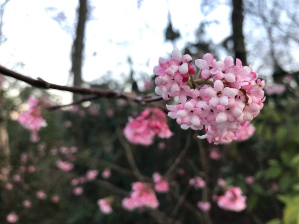 RrV9CS6hQC6AarLNVvlE5Q