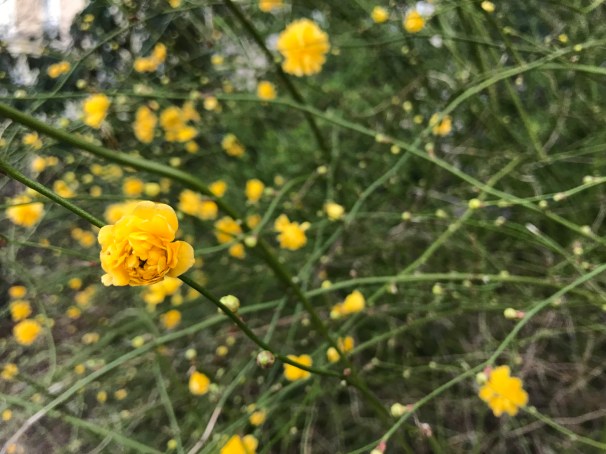 Y6t29E%0S2mBn5gXr+obRA