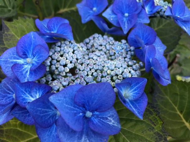 00t2edTqRxmQElpqHkBqJg