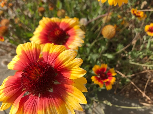 FtYVJSGoSyOJY3ExPBwD6A