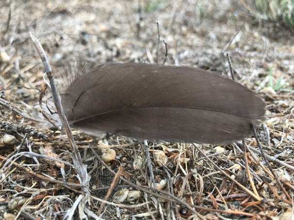 iYz7dlerSg+C5QEiPKAq8w