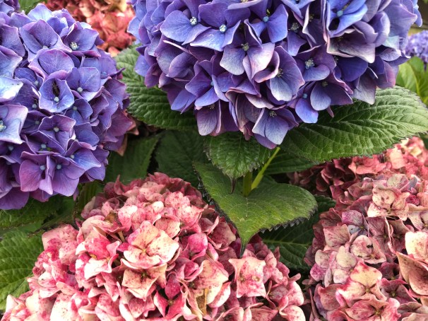 jBW6okzSSzempGpJGNQ4Iw