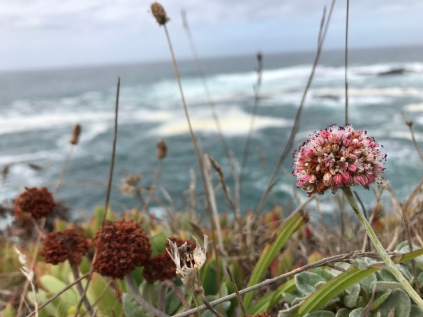 m9MnMtd2T3qk%jGS7xoOFg