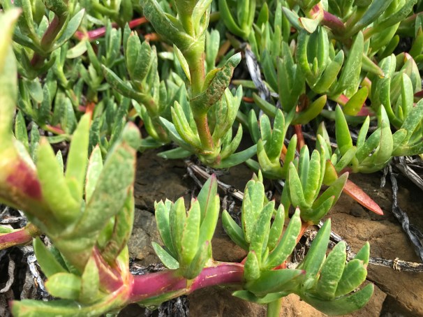 PVt%5M+DT+Gn9DMyEB+IHw