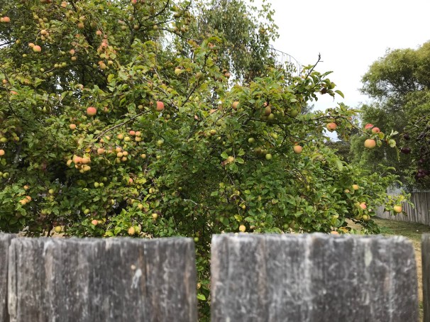 UW71Dq0ERvmOmAazY7USow