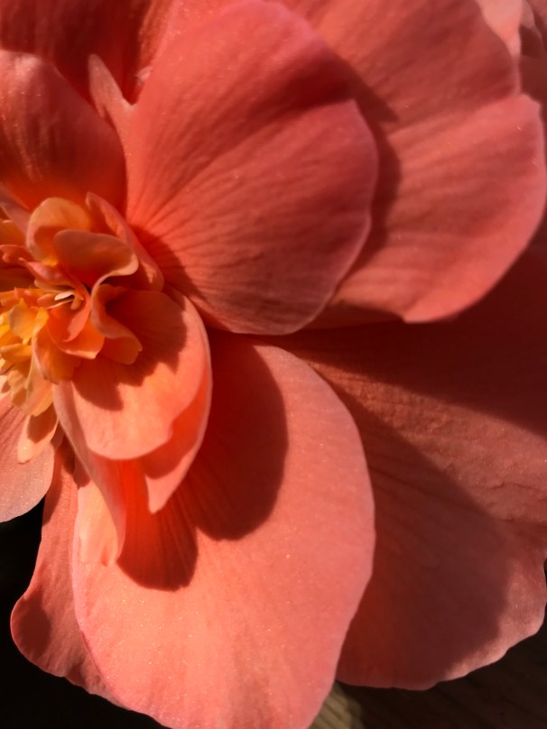 Fju%VCacTrecRfgFYzFivA