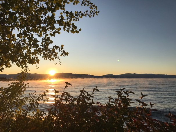 gRjvYijiRJCpHu1DP4l43A