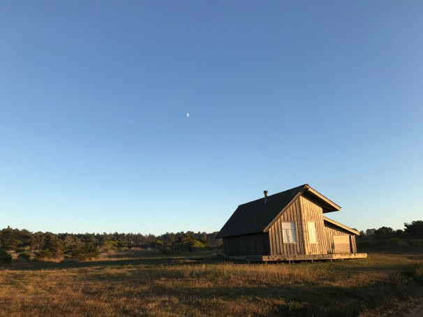 I+foj7yuTAmzaIXRVcq+Vg