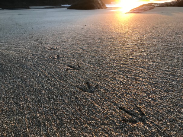 XDsWplCgRiGTKCdqlsgg5A