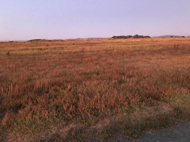 xVqG%amnS2ONLKVaPc1ppg