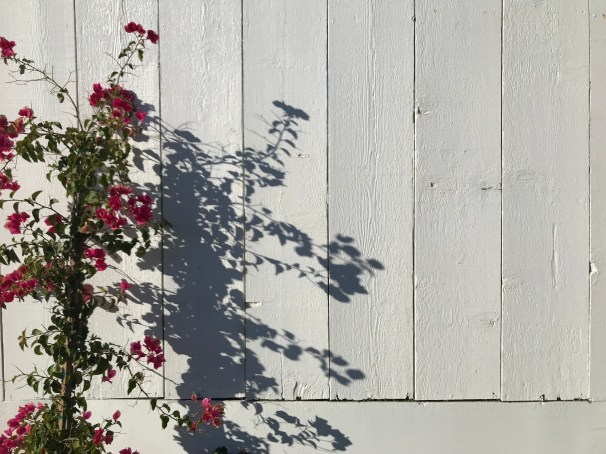 9If5uaLGTrylHjQFEJQjnA