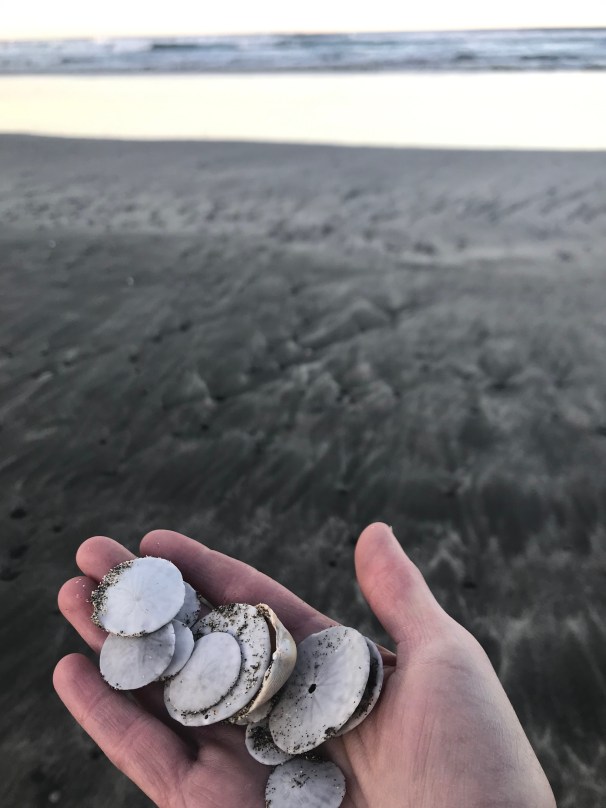 rIzbXTPBSXyg+7U7j6+ijg