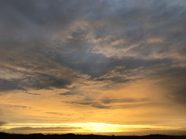 ciDncaMgSJyYbYusMm1jhg