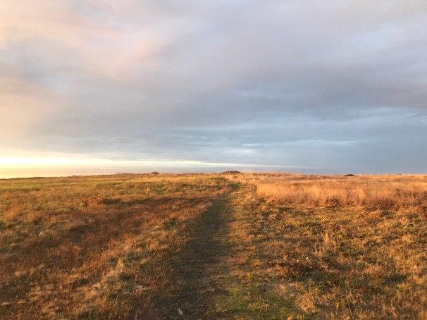 IHSG+Be8TZ6ThoOHQg41jQ